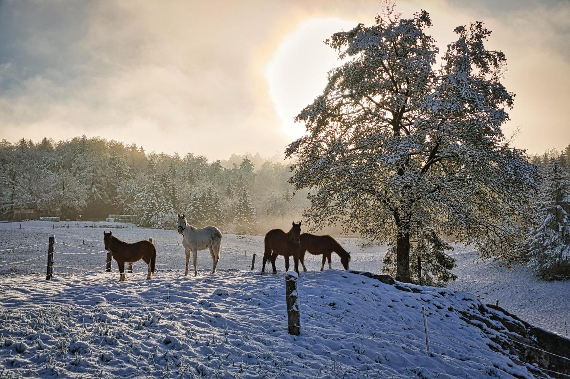 Cowboy'S Land Hotel Visnja Gora Exterior foto