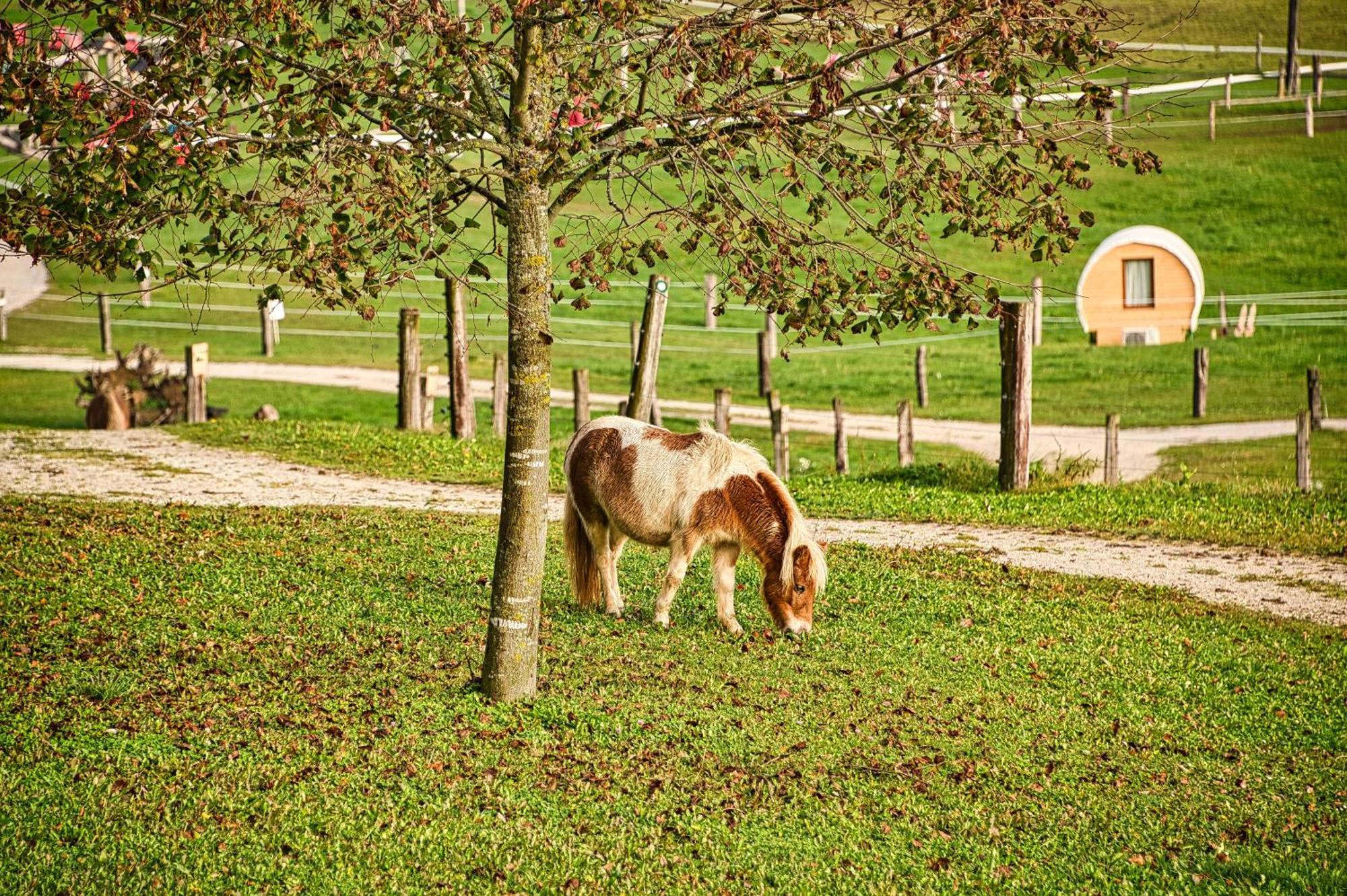 Cowboy'S Land Hotel Visnja Gora Exterior foto